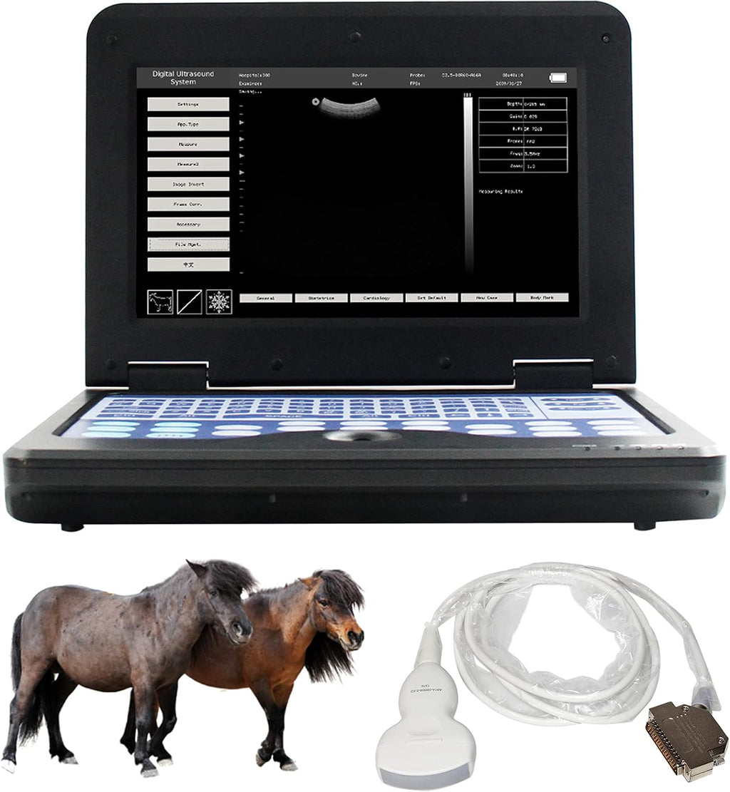 Veterinary Ultrasound Scanner with Convex and Rectal Linear Probe L361851