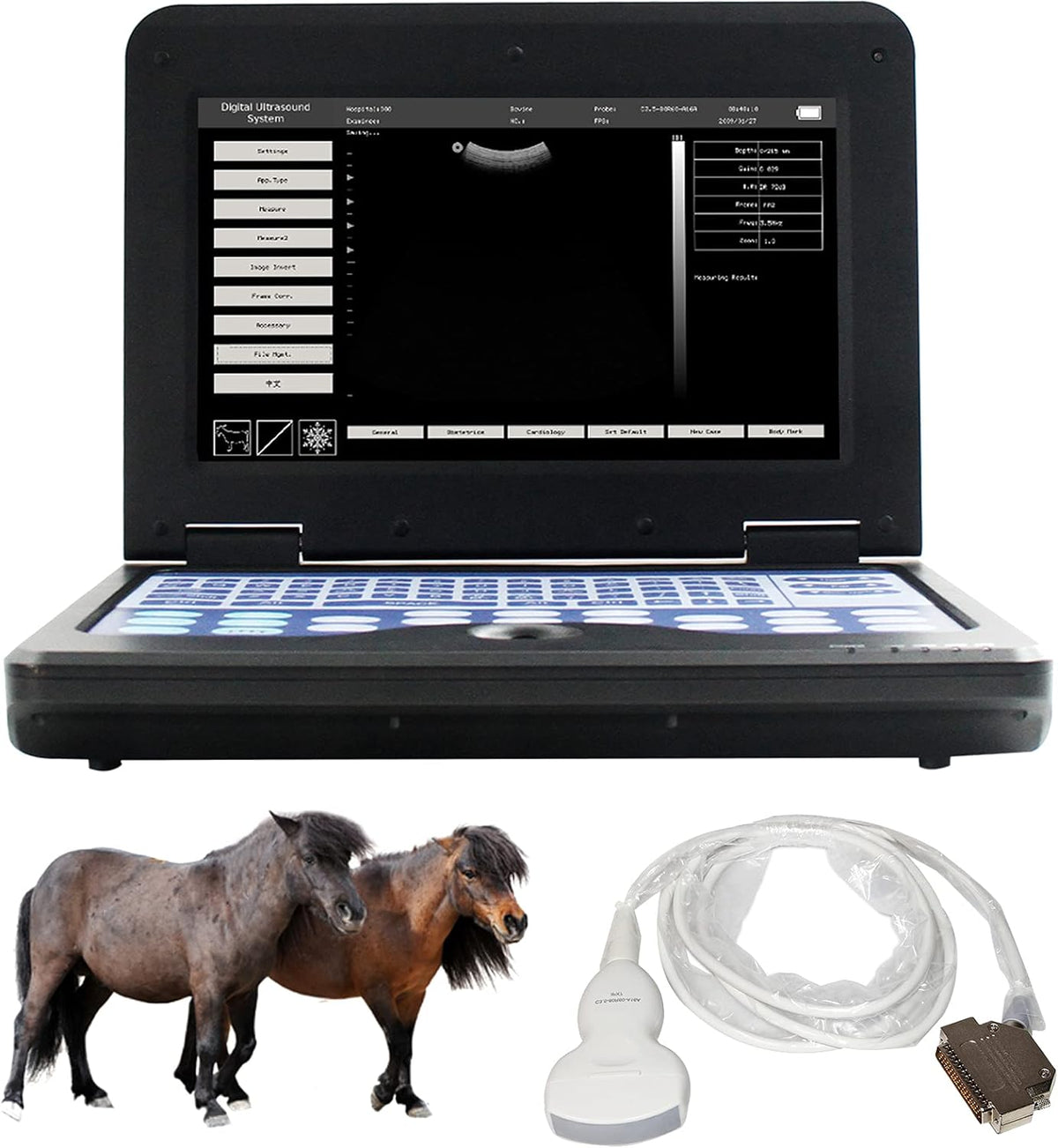 Veterinary Ultrasound Scanner with Convex and Rectal Linear Probe L361851