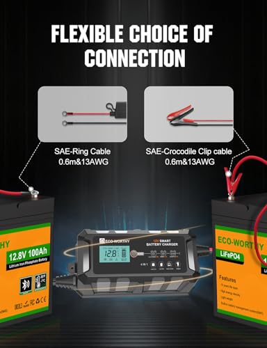 10A 12V Lifepo4 Battery Charger Z68138
