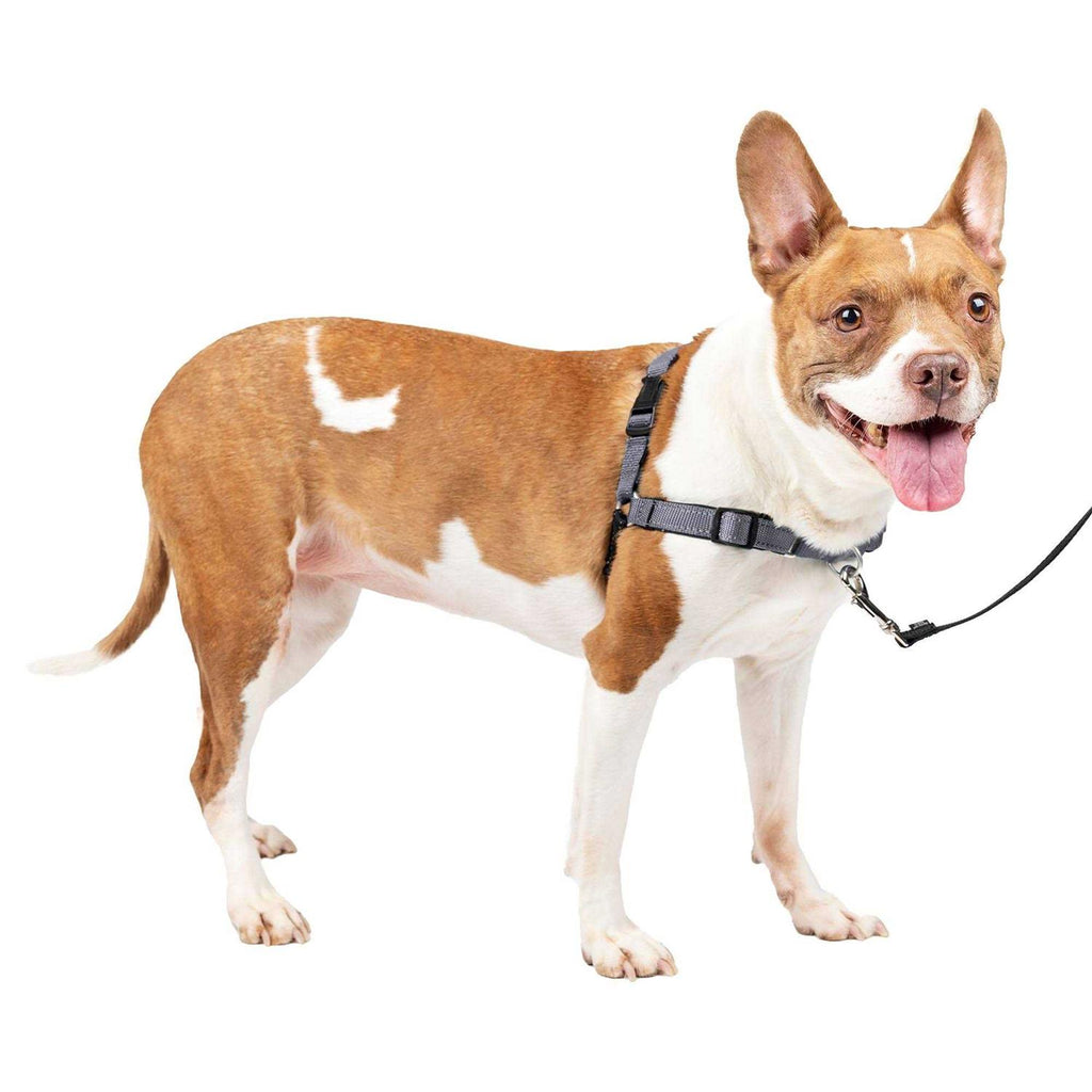 Easy Walk Harness Y483