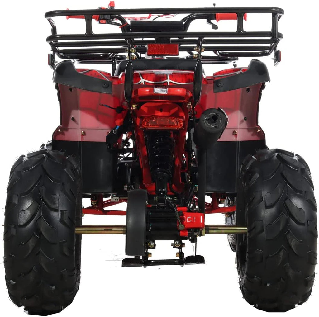 125cc Gas ATV Automatic Transmission with Reverse L91396