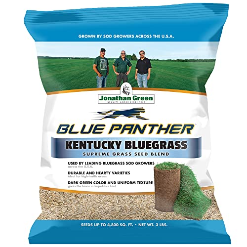 Blue Panther Kentucky Bluegrass Grass Seed (25 lb) K741