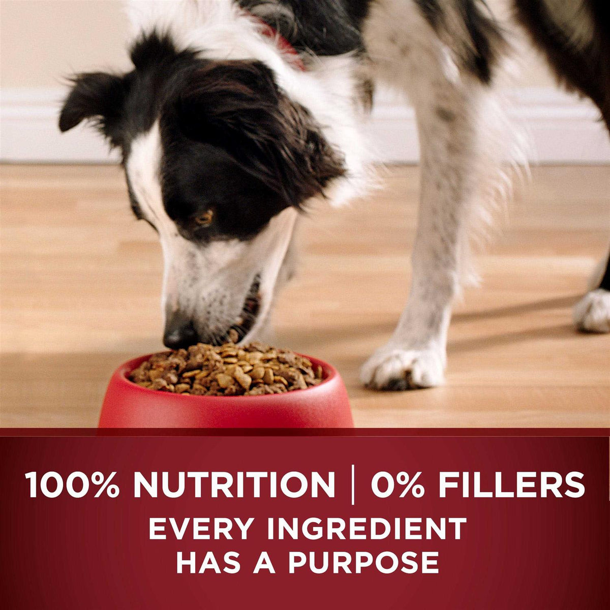 Grain Free Natural Dry Dog Food S192