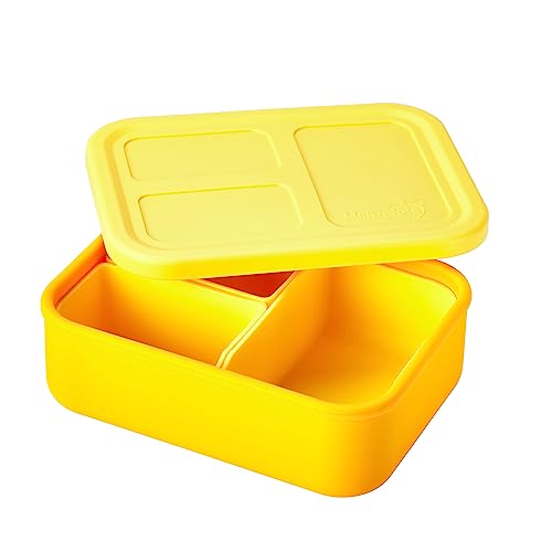 Silicone Multi-Compartment Lunch Box C189