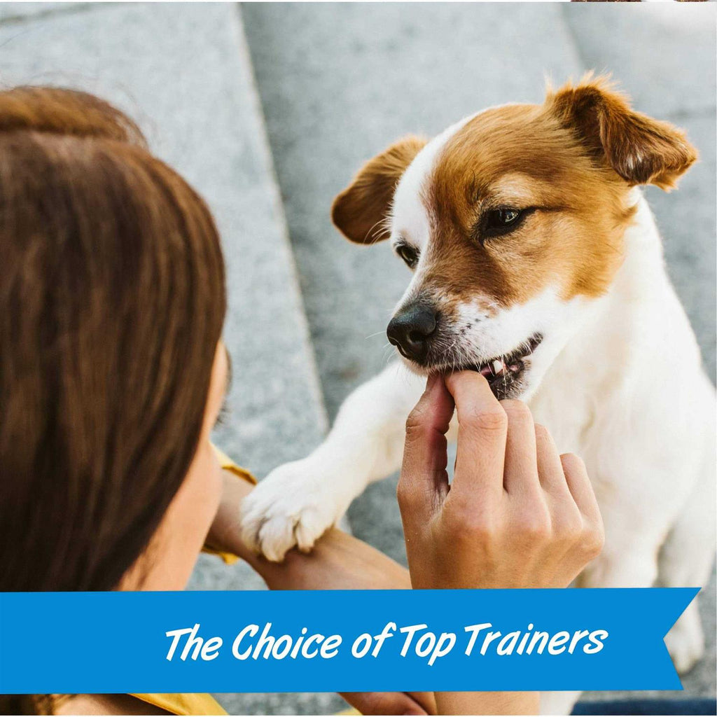 Mini Training Dog M259626