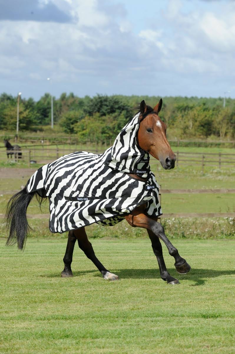 Zebra Full Neck P450981