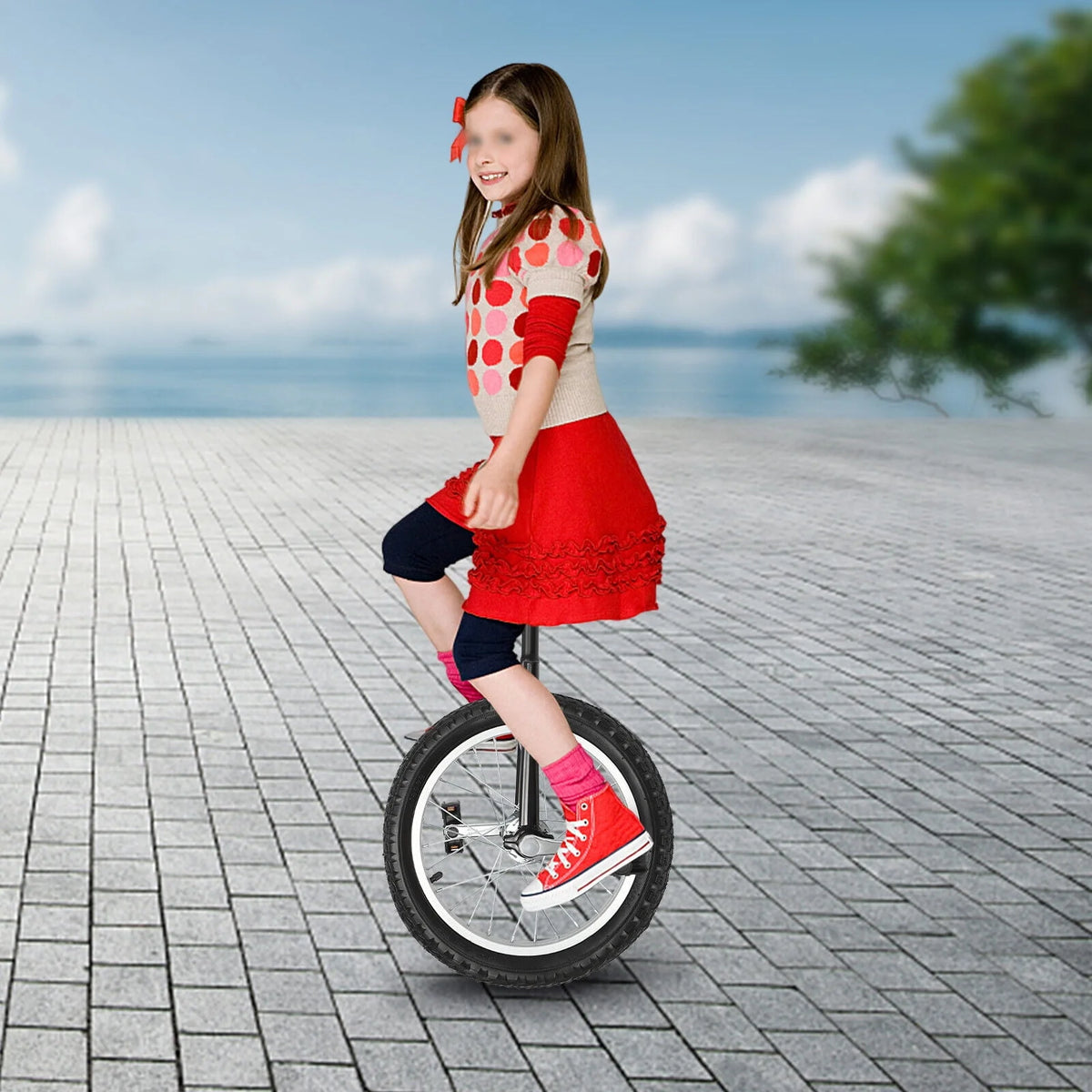 16 Wheel Adjustable Unicycle G767692