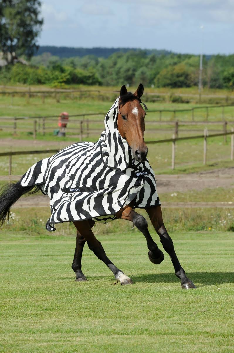 Zebra Full Neck P450981