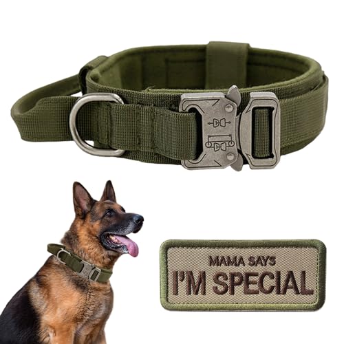Nylon Adjustable Reflective Dog Collar with Handle and Heavy Duty Metal Buckle T239
