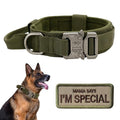 Nylon Adjustable Reflective Dog Collar with Handle and Heavy Duty Metal Buckle T239