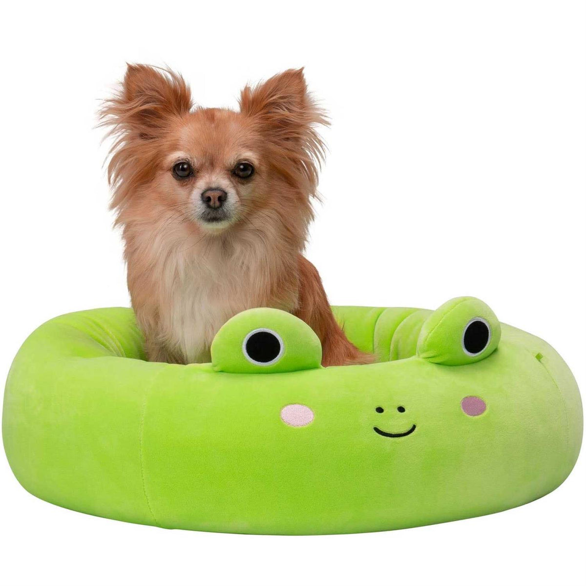Frog Pet Bed F621423