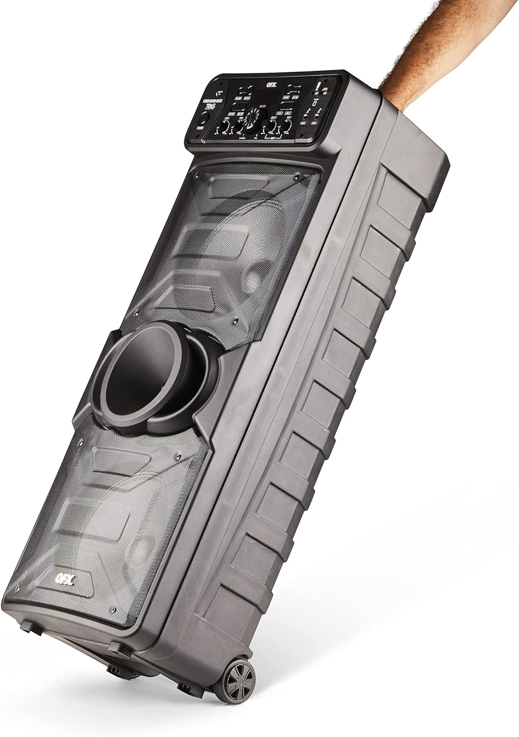Portable Speaker with Wireless Microphone and FM Radio W5020