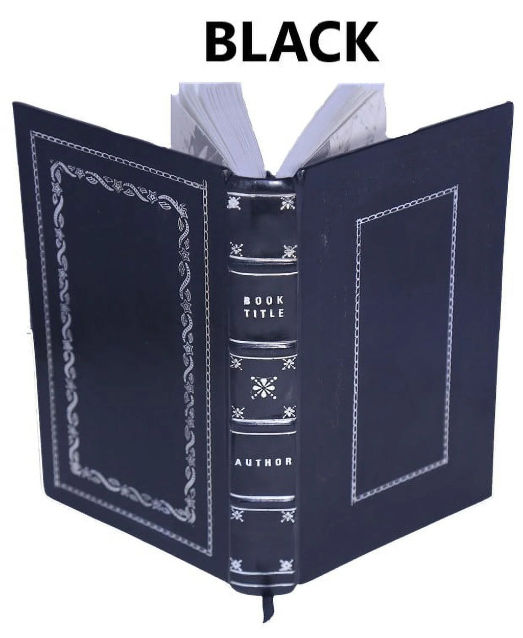 La bible d'Amiens 1910 M389540