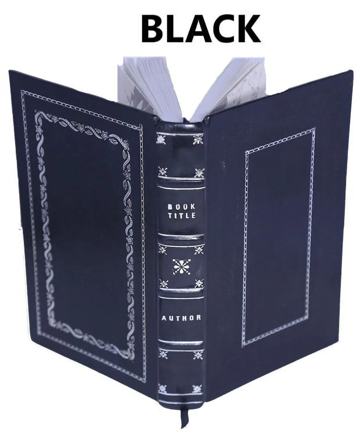 La bible d'Amiens 1910 M389540