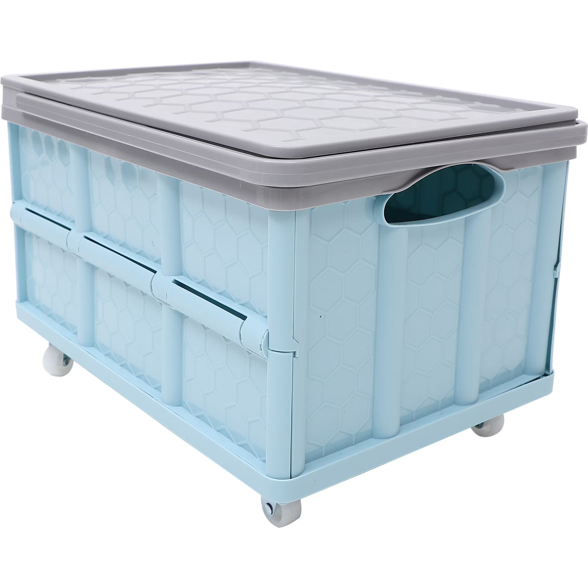 60 Gallon Blue Storage Container D902