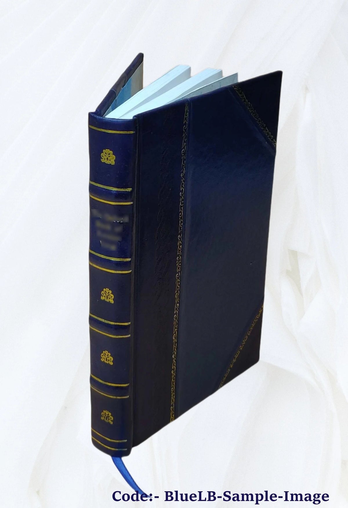 Leather Bound Book N957686