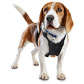 Black No Pull Dog Harness G387
