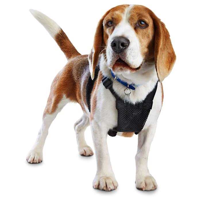 Black No Pull Dog Harness G387