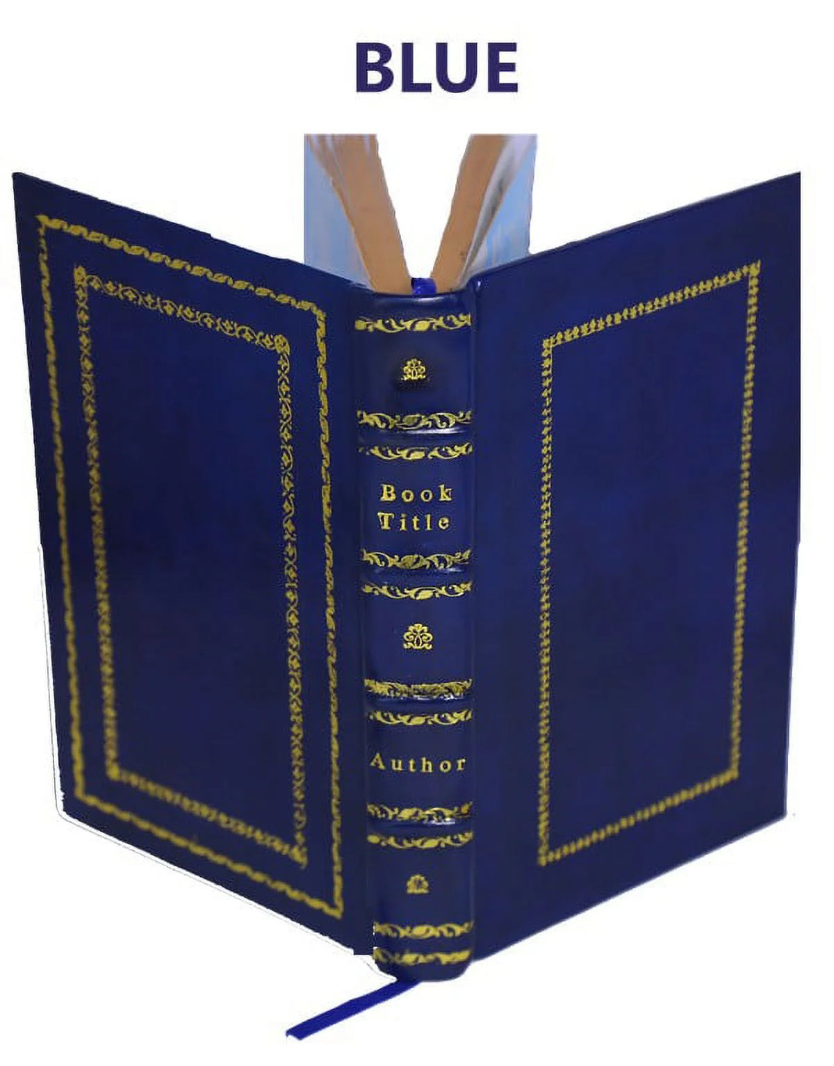 La bible d'Amiens 1910 M389540