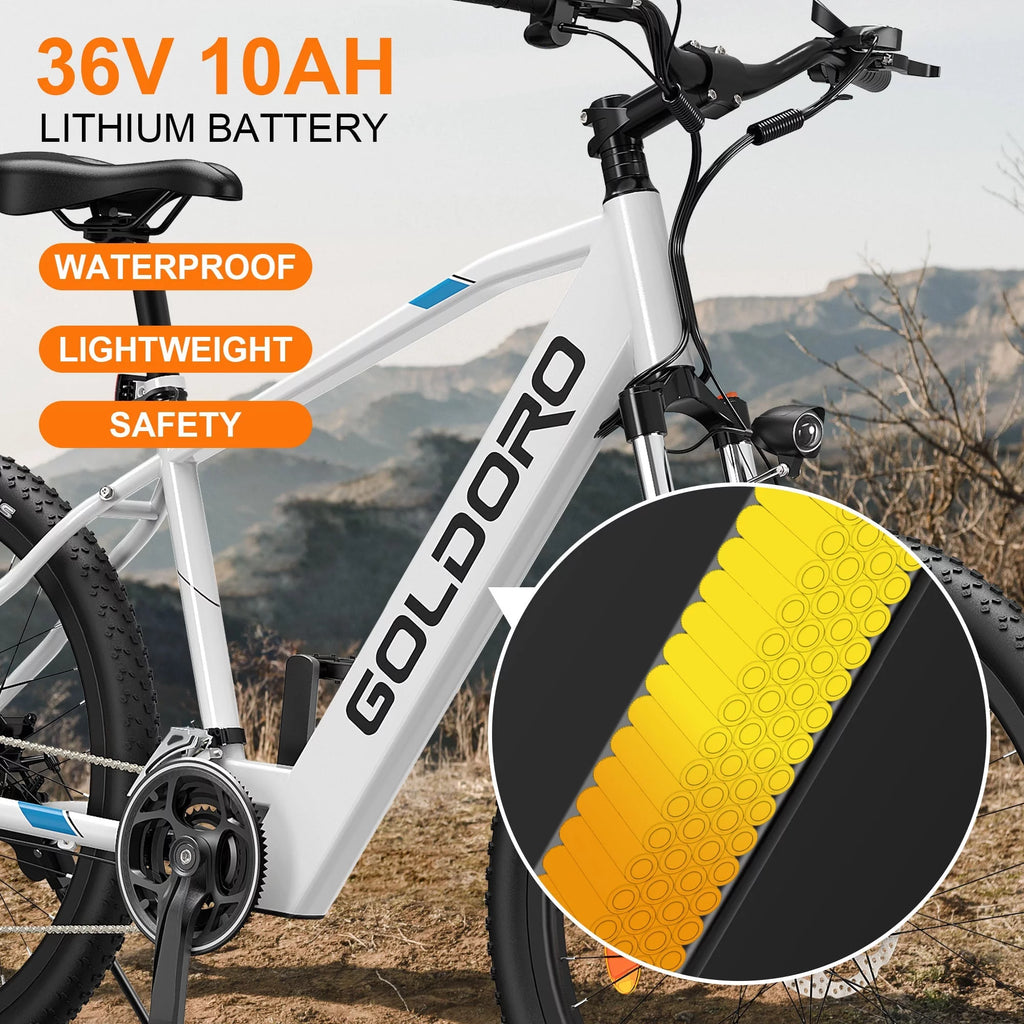 Electric Bike 26" Aluminum Alloy Mountain Bike 250W 21 Speed F503020