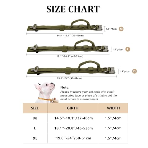 Nylon Adjustable Reflective Dog Collar with Handle and Heavy Duty Metal Buckle T239