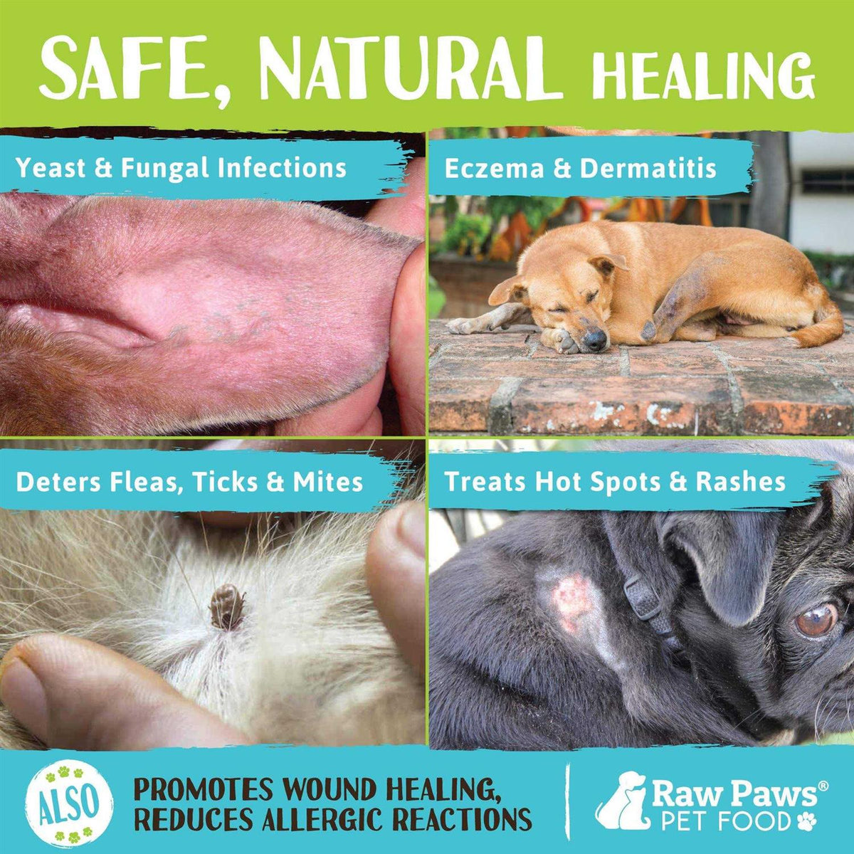 Organic Coconut Oil for Dogs & Cats A730312