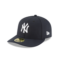 Low Profile Fitted Hat Y223012