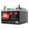 AGM Battery K5386