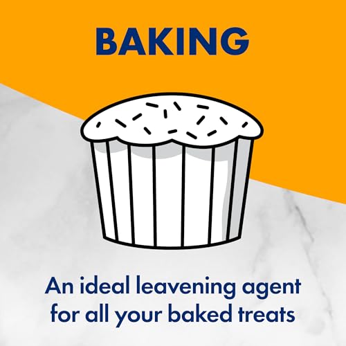 1 Pound Pack of 12 Baking Soda H3922
