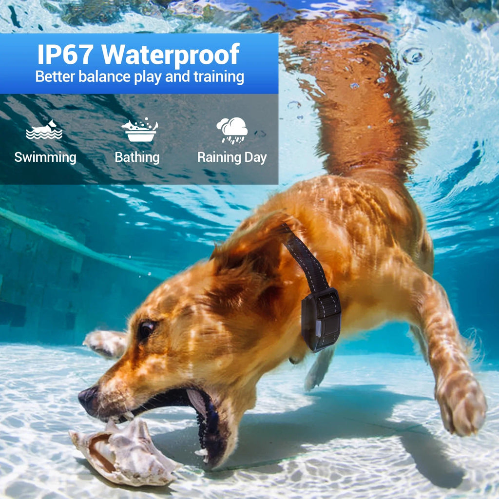 Rechargeable Waterproof Dog Training Collar with Remote X54106