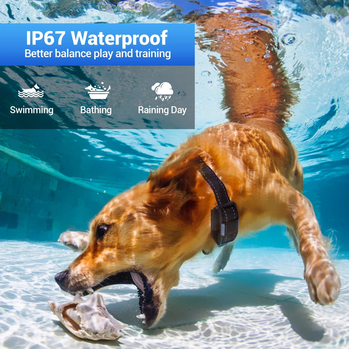 Rechargeable Waterproof Dog Training Collar with Remote X54106
