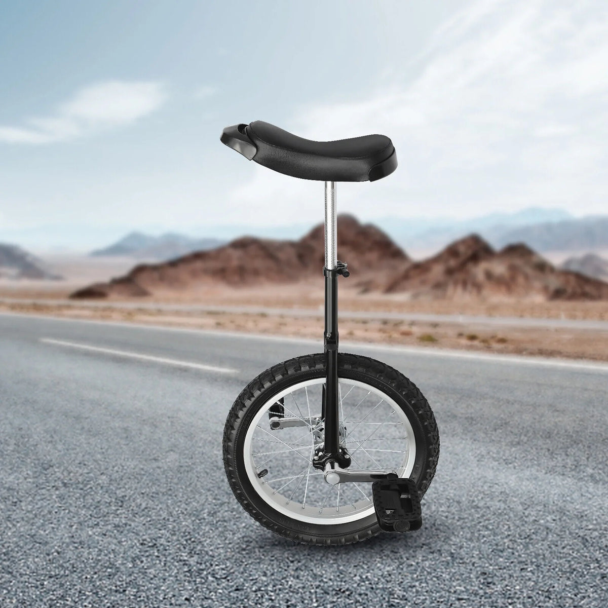 16 Wheel Adjustable Unicycle G767692