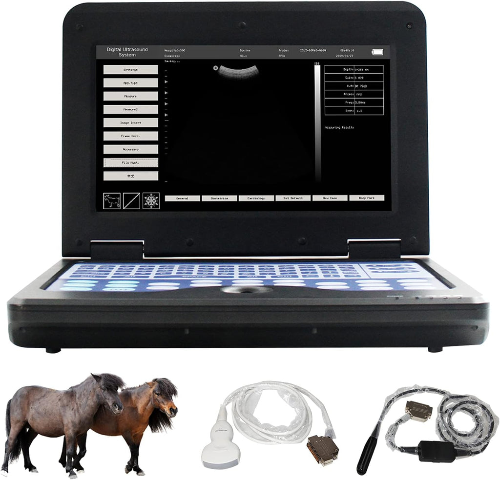 Veterinary Ultrasound Scanner with Convex and Rectal Linear Probe L361851