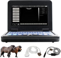 Veterinary Ultrasound Scanner with Convex and Rectal Linear Probe L361851