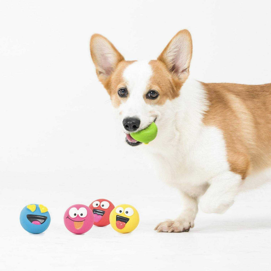Playful Buddy Dog Toys W946