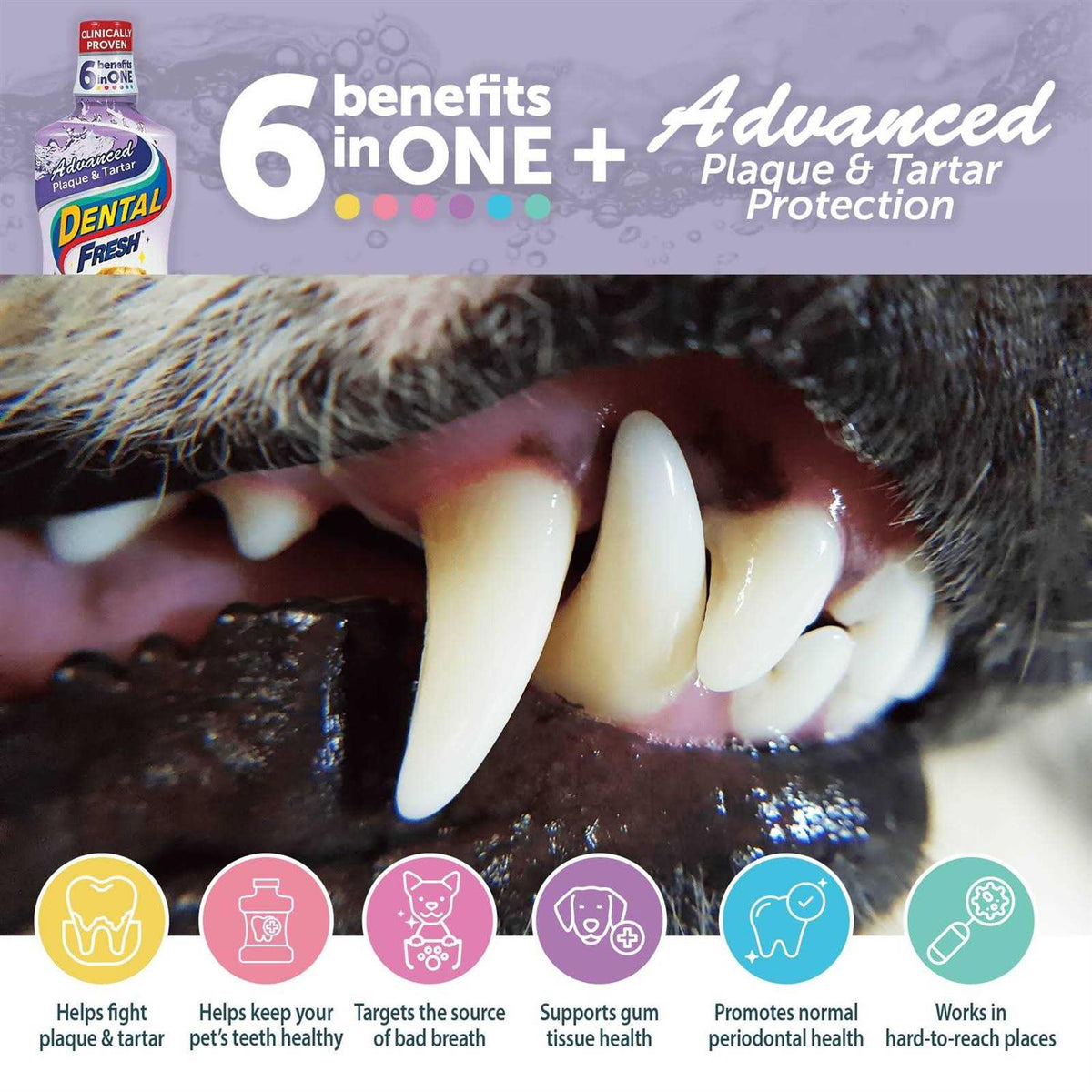 Dental Fresh Advanced Plaque and Tartar Water Additive for Dogs R117