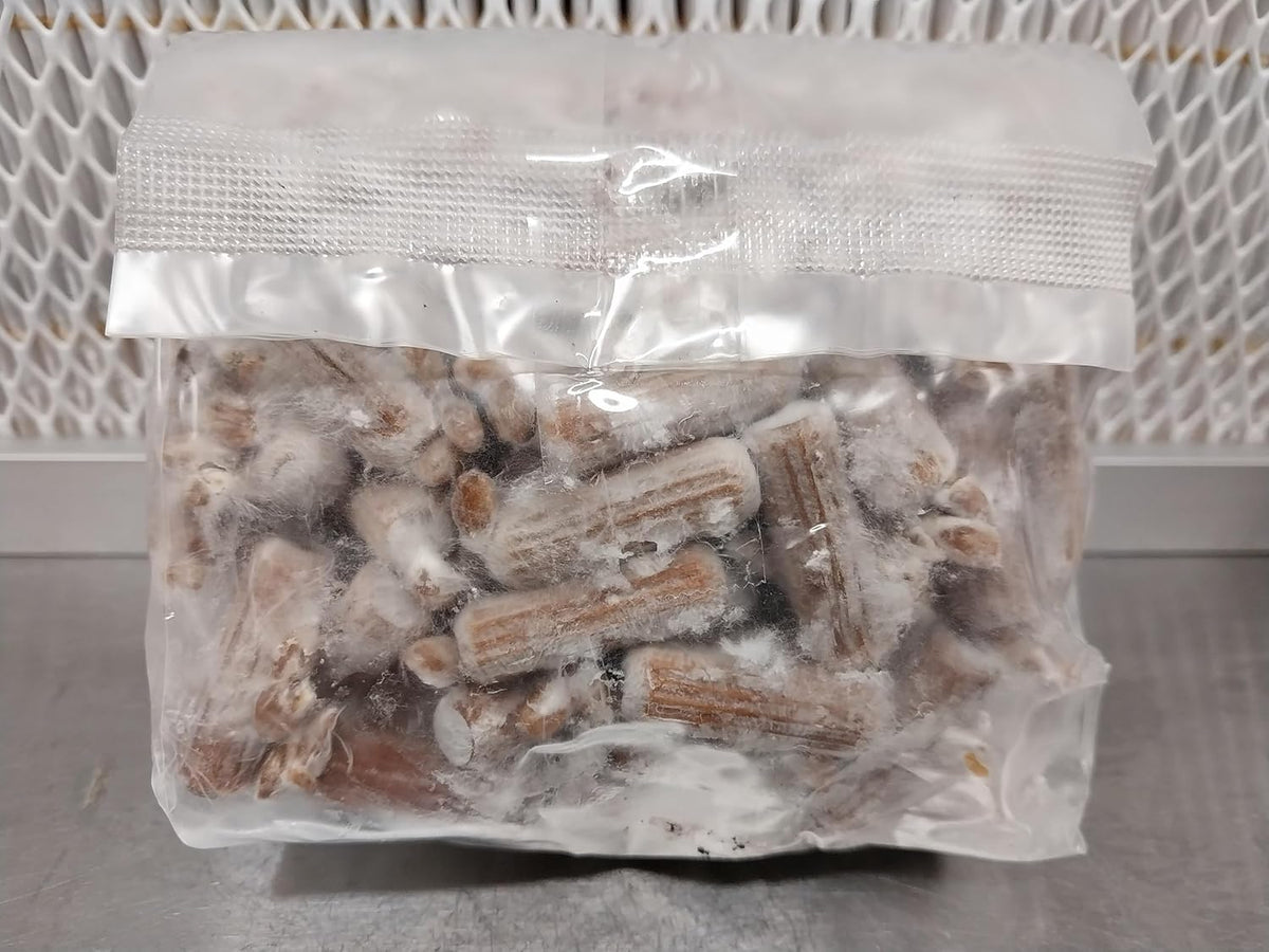 100 Lion's Mane Mushroom Plug Spawn S2318