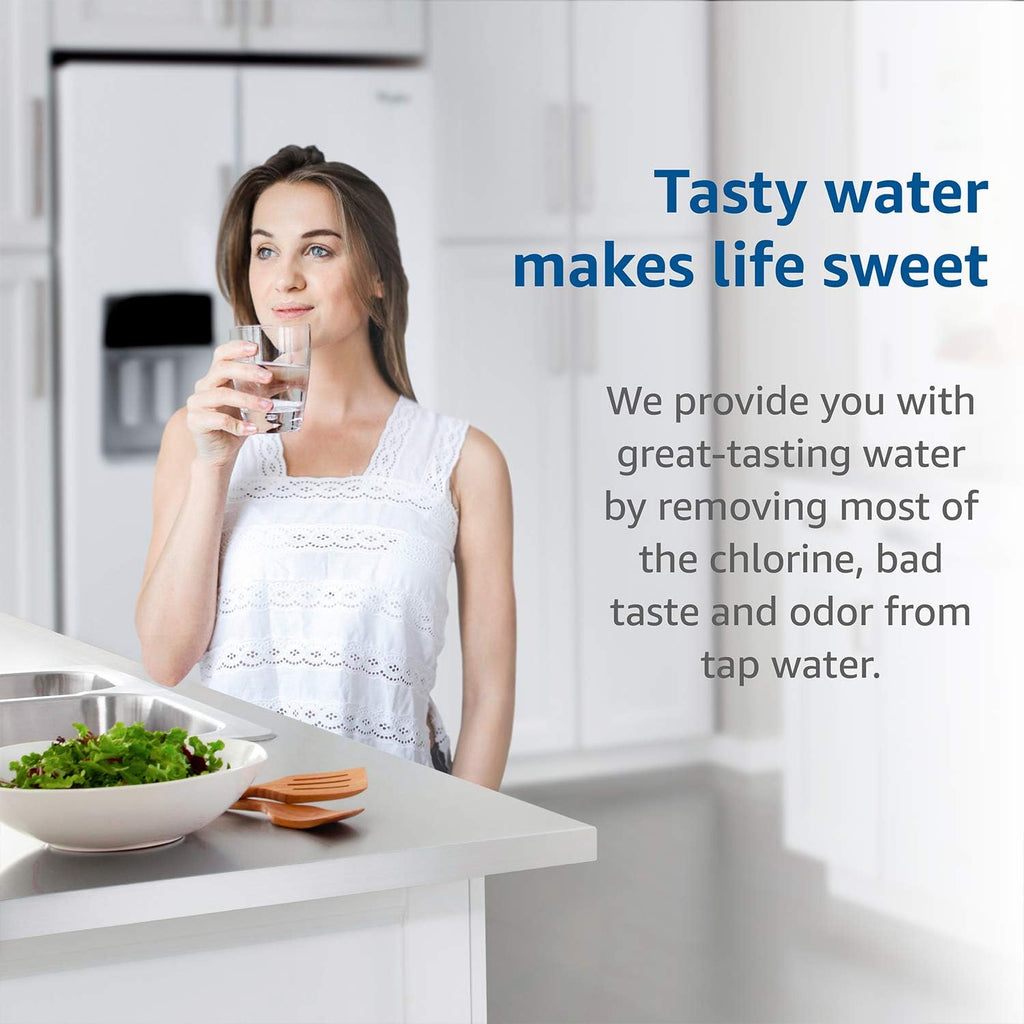 Water Filter Cartridge, pack of 2 B569