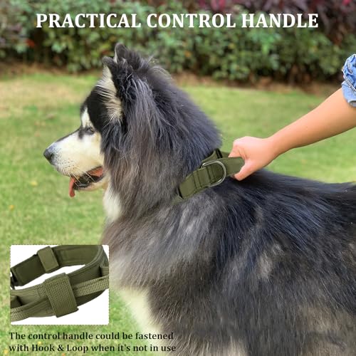 Nylon Adjustable Reflective Dog Collar with Handle and Heavy Duty Metal Buckle T239