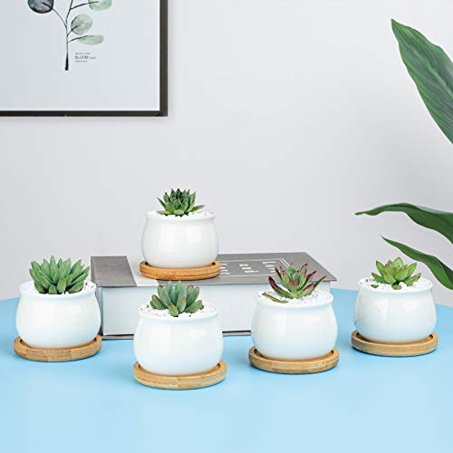 White Ceramic Mini Succulent Pots with Bamboo Trays Set of 6 Q783