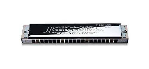 21 Hole Double Sound Harmonica P110