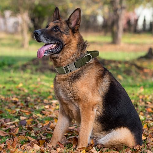 Nylon Adjustable Reflective Dog Collar with Handle and Heavy Duty Metal Buckle T239