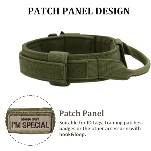 Nylon Adjustable Reflective Dog Collar with Handle and Heavy Duty Metal Buckle T239