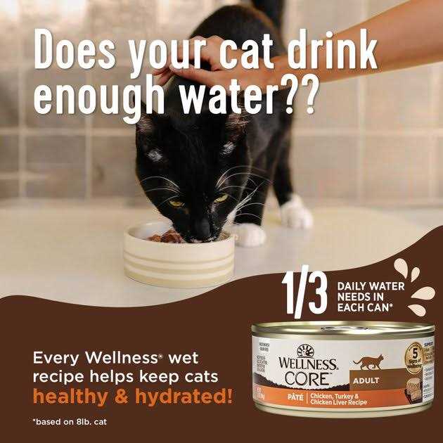 Chicken & Turkey Pate Variety Pack Wet Cat Food Q19473