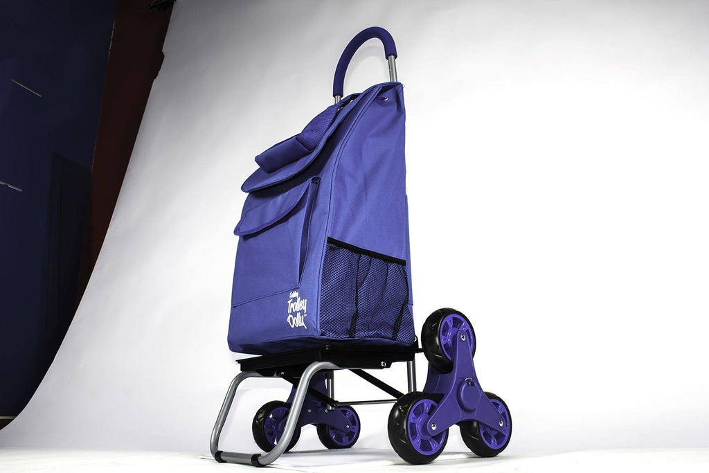 Blue Foldable Grocery Cart V54362