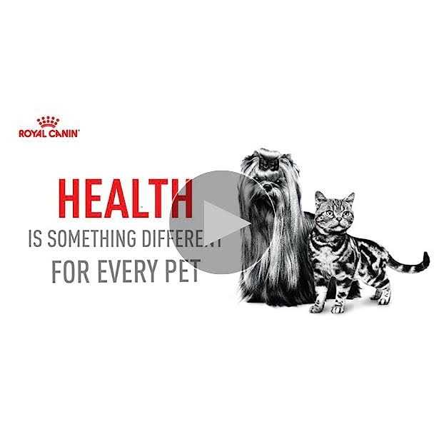 Hairball Care Dry Cat Food E973