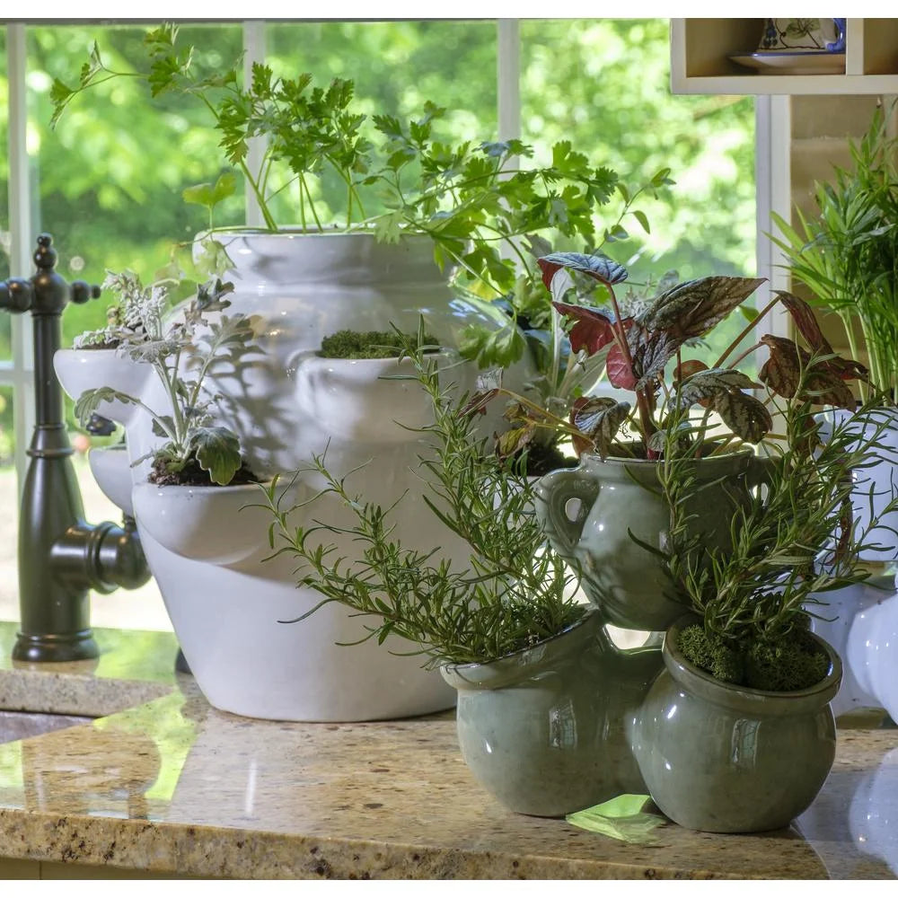 8 Pocket Ceramic Strawberry Planter in White A579
