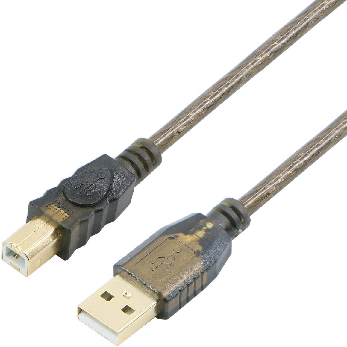 USB 2.0 Cable A Male to B Male (100 Feet) Pack of 2 L616842