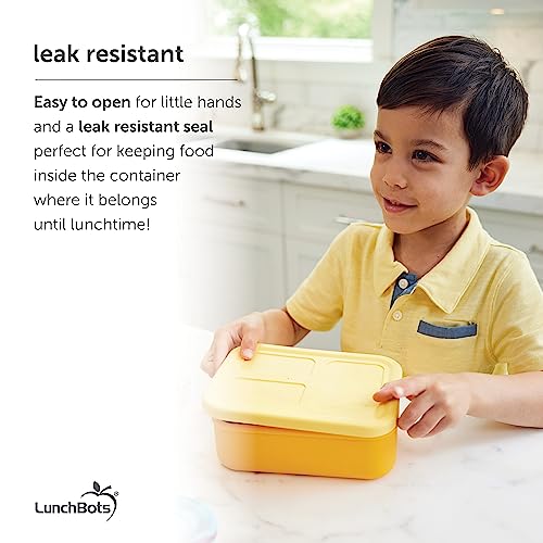 Silicone Multi-Compartment Lunch Box C189