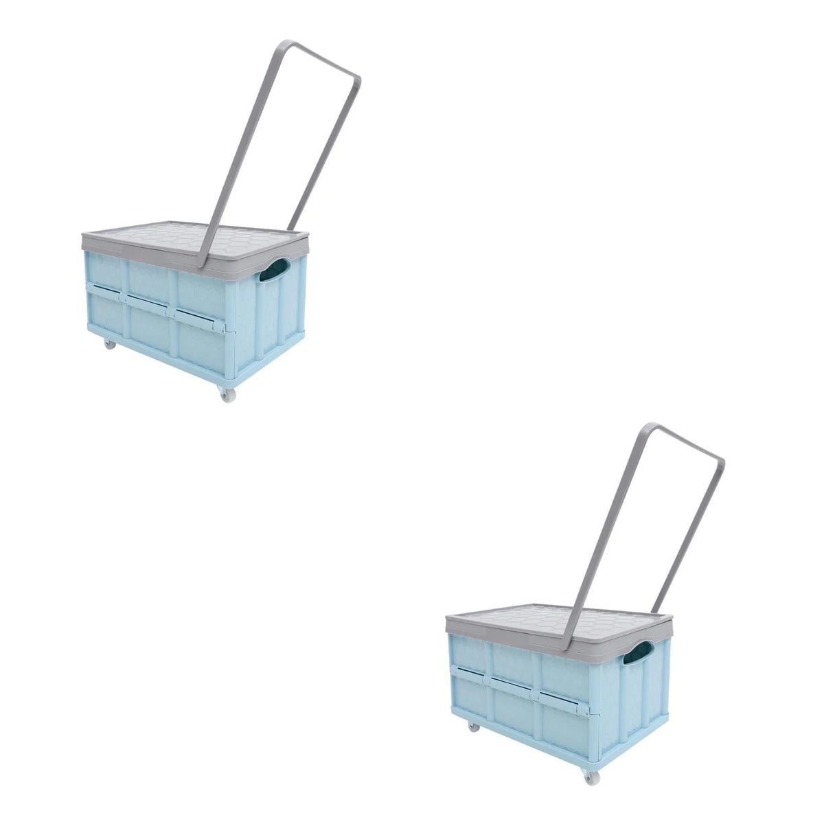 60 Gallon Blue Storage Container D902